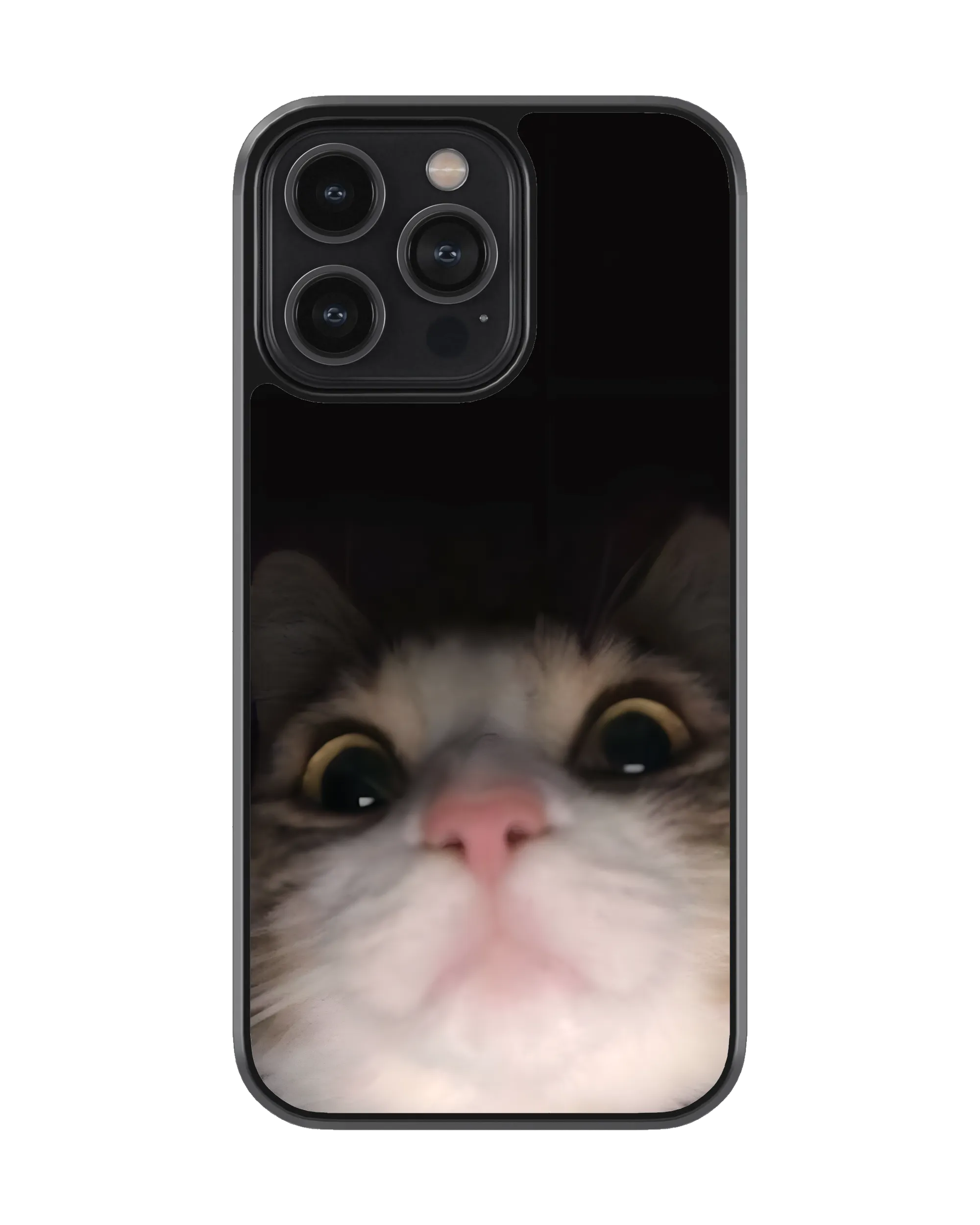 cat-staring-memes-mobile-cover-available-for-all-devices